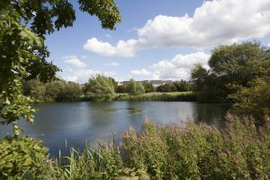 ben bailey redhouse park view to development 2 sm.jpg